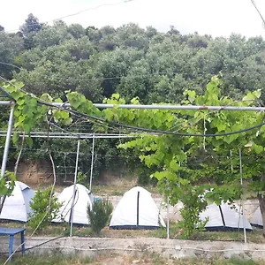 Jungle In , Borsh Albania